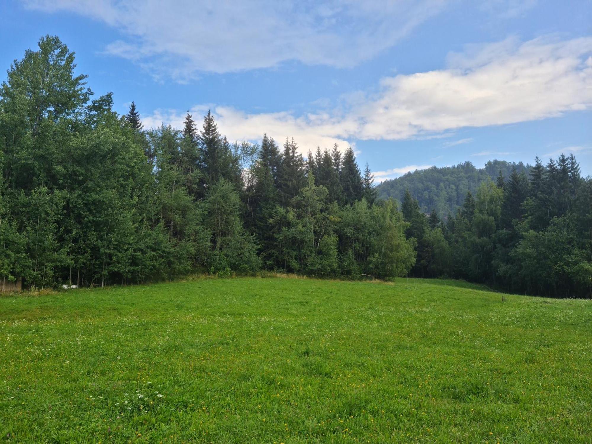 Apartments Anz'K Bled Zewnętrze zdjęcie