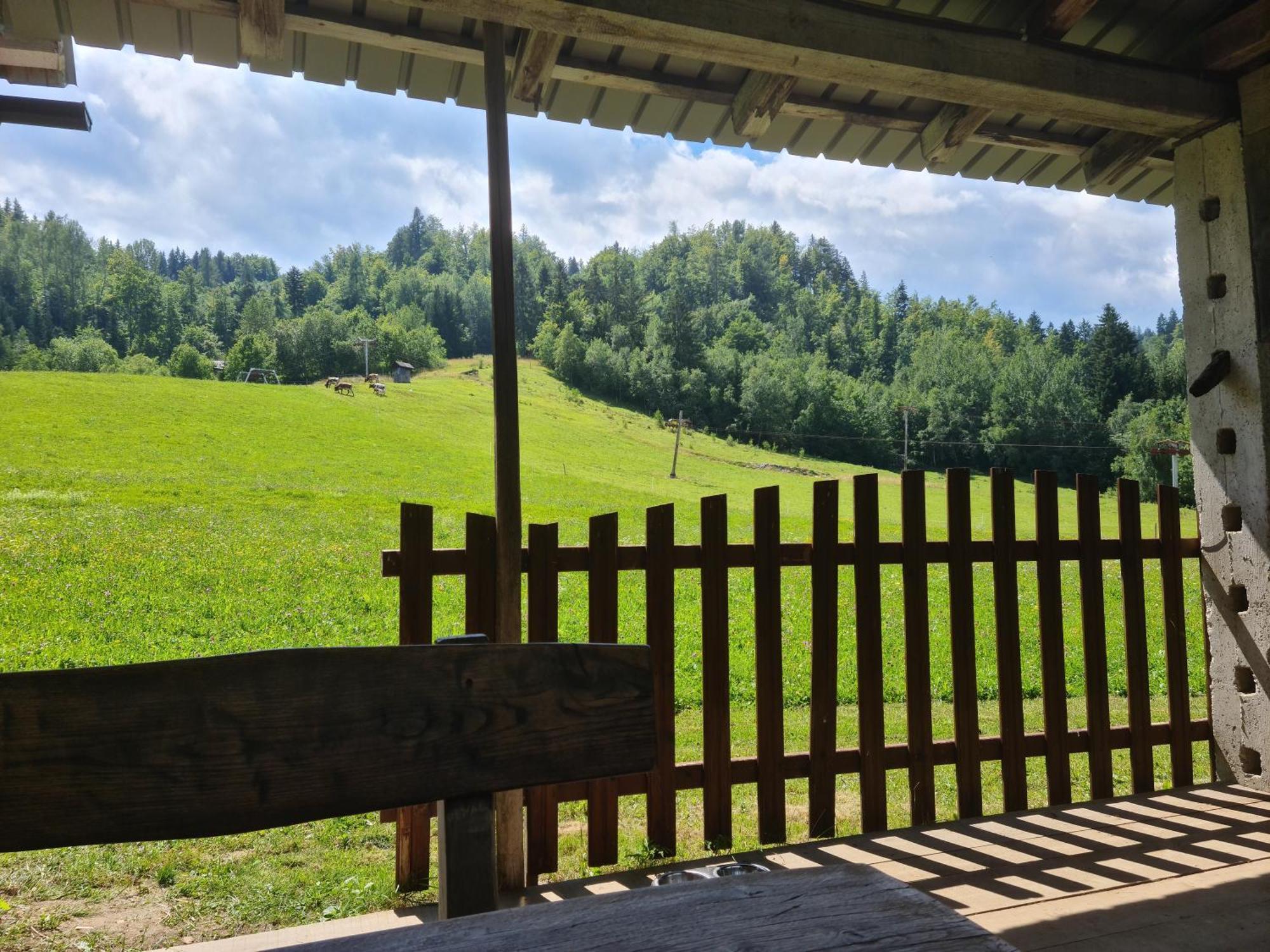 Apartments Anz'K Bled Zewnętrze zdjęcie