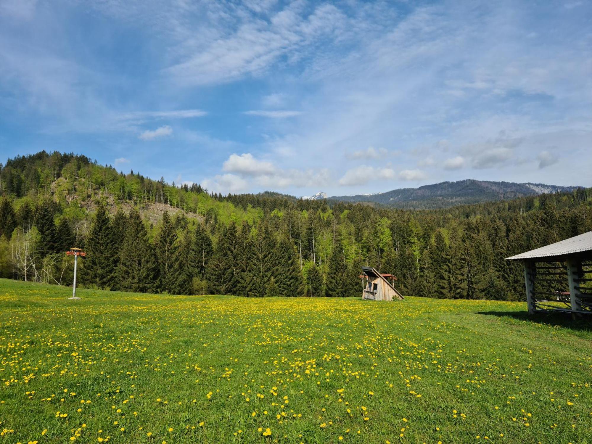Apartments Anz'K Bled Zewnętrze zdjęcie